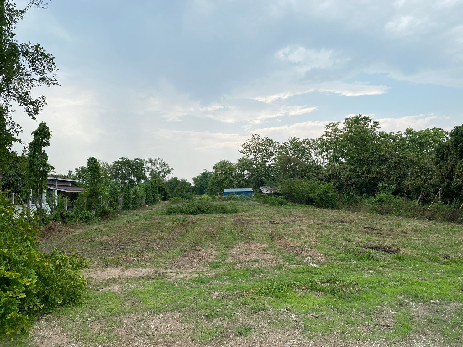 ที่ดินดอยสะเก็ด ขนาด 5 ไร่